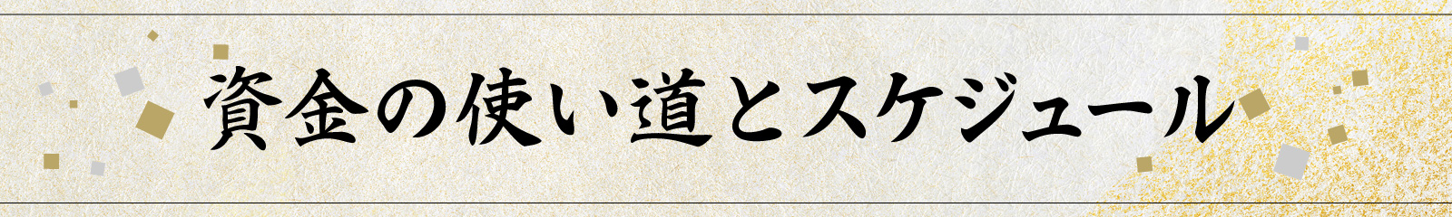 資金の使い道とスケジュール