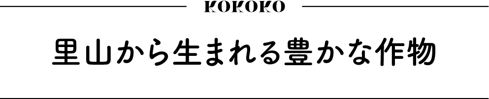 https://www.oco-s.jp/data/ec/479/見出し_2.jpg