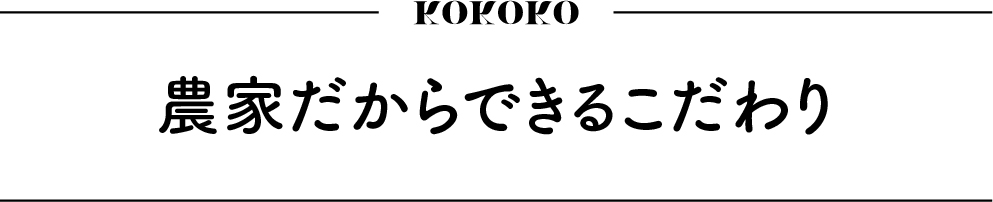 https://www.oco-s.jp/data/ec/479/見出し_6.jpg